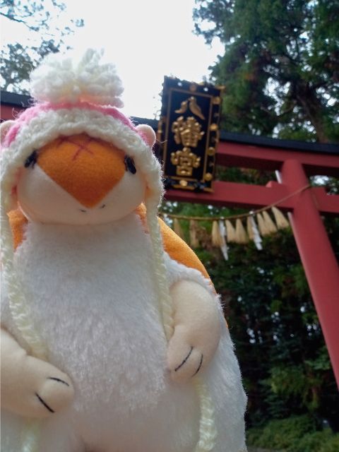 東北の八幡さまだよジョンぬい